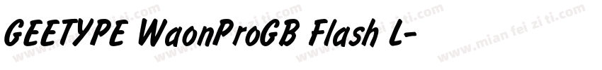 GEETYPE WaonProGB Flash L字体转换